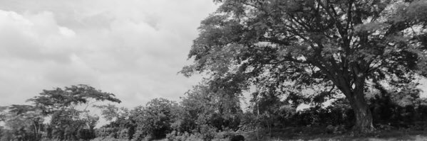 josé alejandro. banner