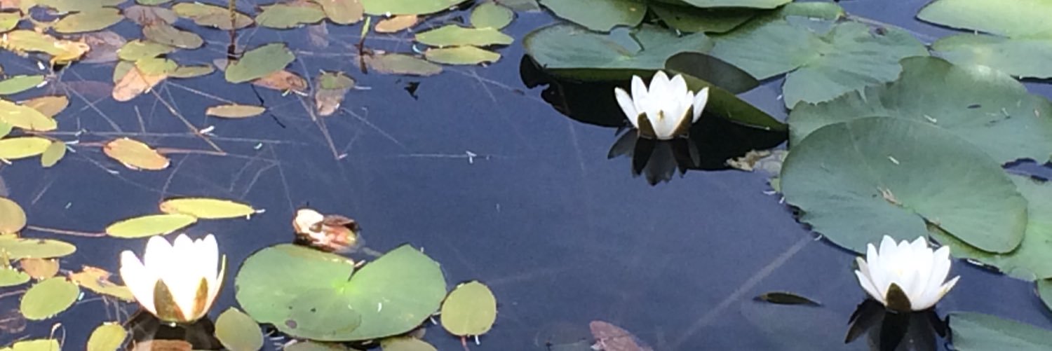 GikGitte's profile banner image