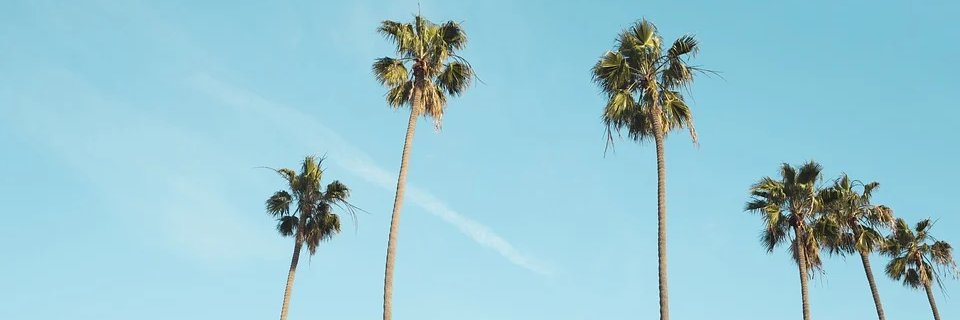 LAMCWellness's profile banner image