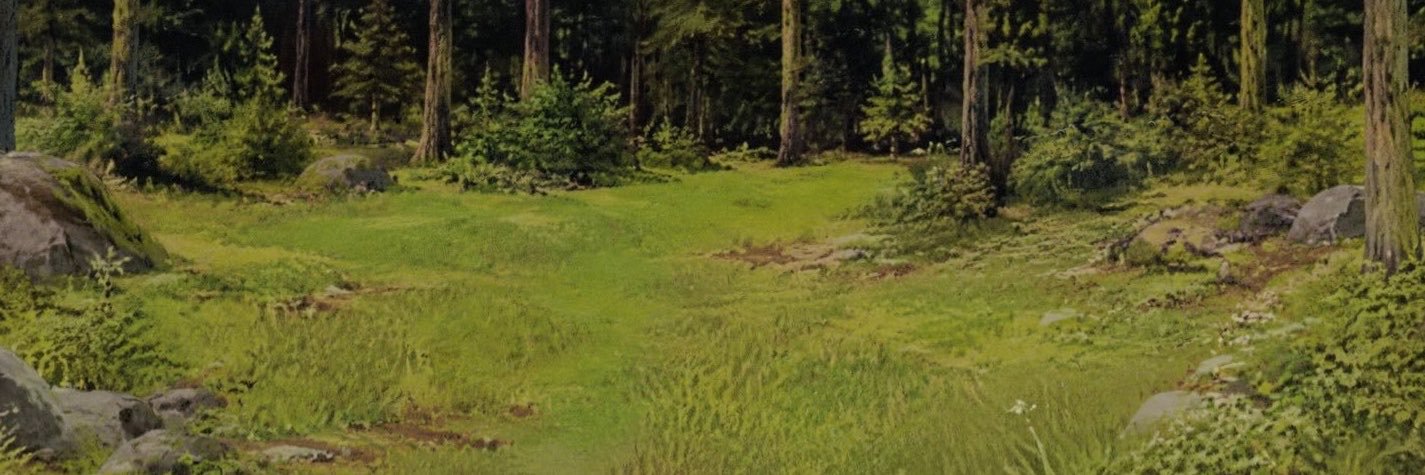 juliad0tsol's profile banner image