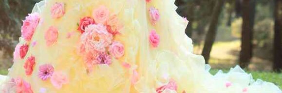 pdpdlllll's profile banner image