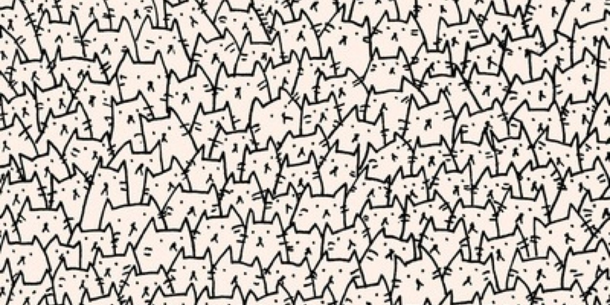 Ana Polo. banner