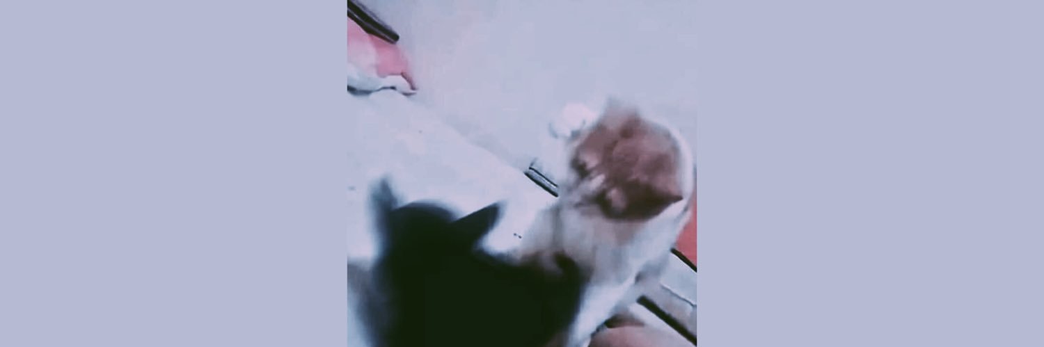 nnnppsp's profile banner image