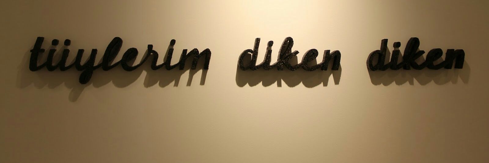 elifdaskaya's profile banner image