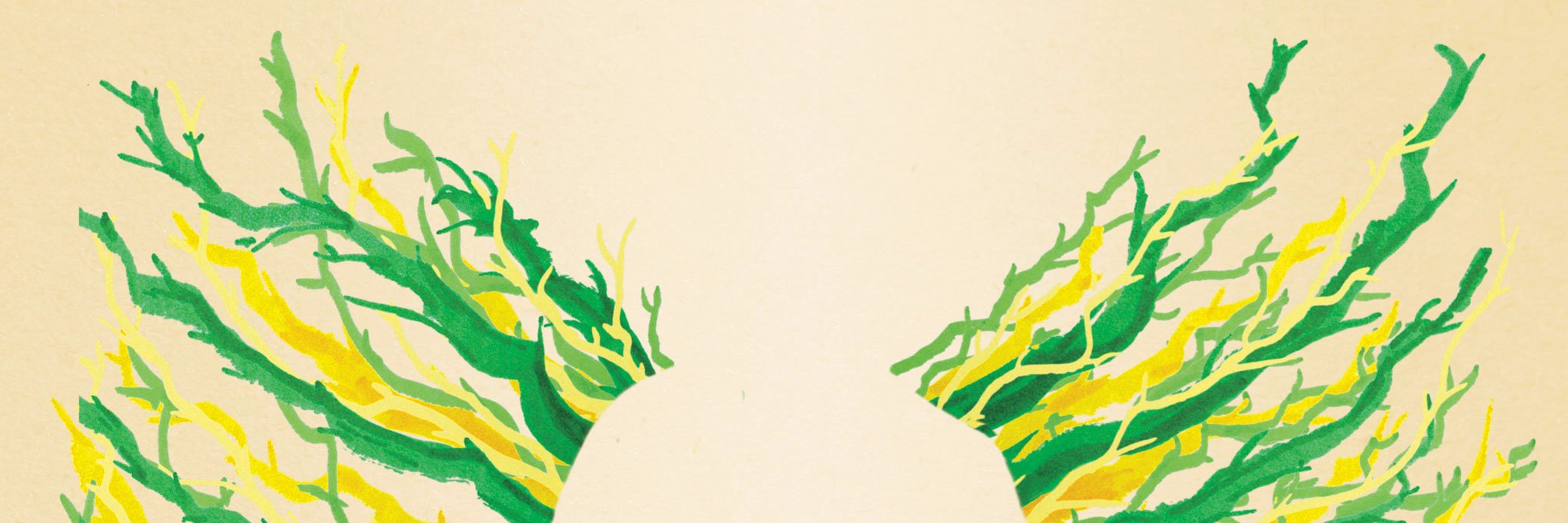 Happy Little Trees banner