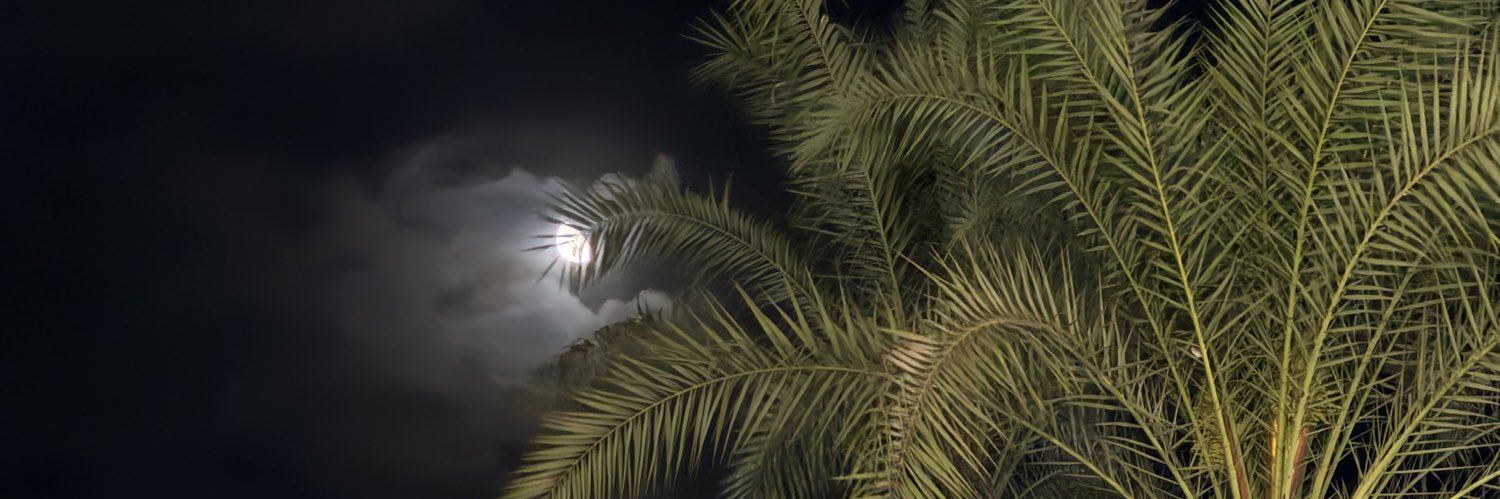 noraelsyaad's profile banner image