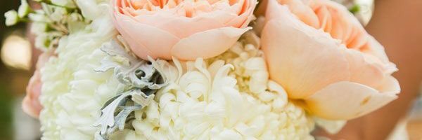 loreitany's profile banner image