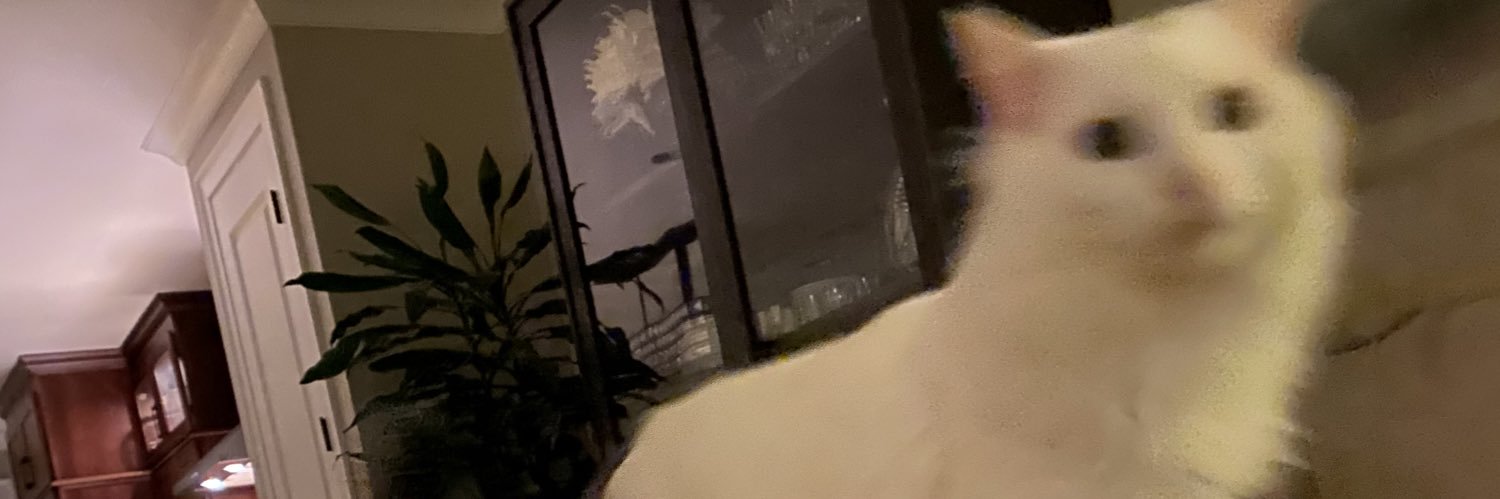 aromaticfern's profile banner image