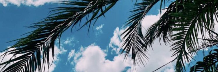 FededaSilva7's profile banner image