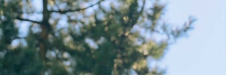 Evilsunshine_'s profile banner image