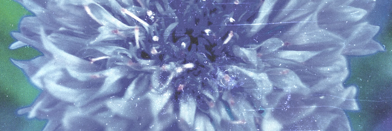 fourthandcoast's profile banner image