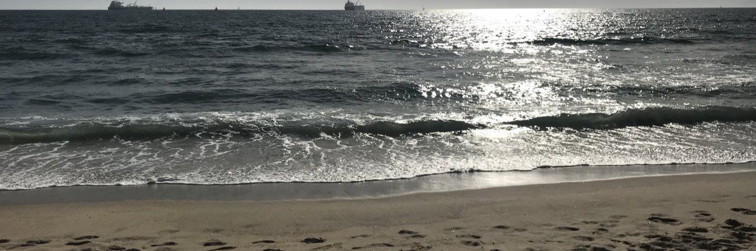 James Hallowell 🇺🇸🦅 banner