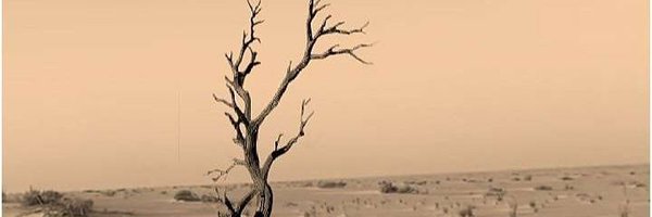 V125U Profile Banner