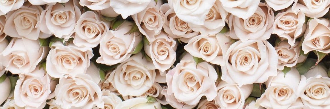 tishTASH_13's profile banner image