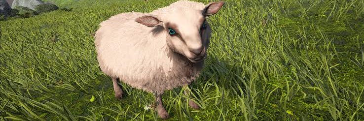 NERIAGE_'s profile banner image