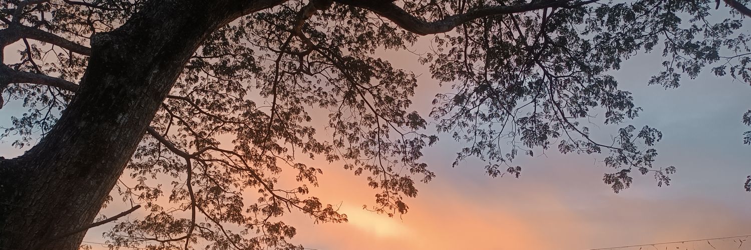 jenimaee's profile banner image