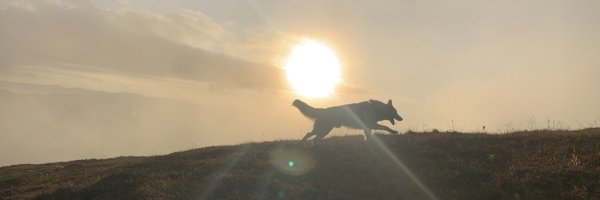 morganetsr Profile Banner