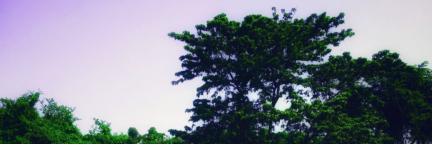 SubhoD_official's profile banner image