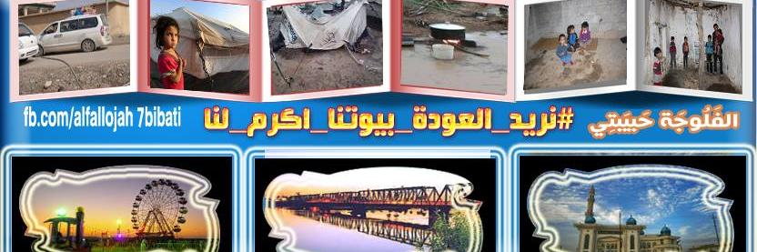 alfallujah7b's profile banner image