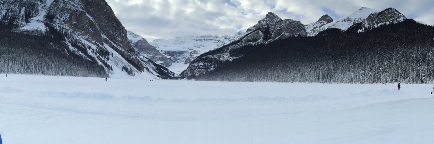 Marina Aitcheson banner