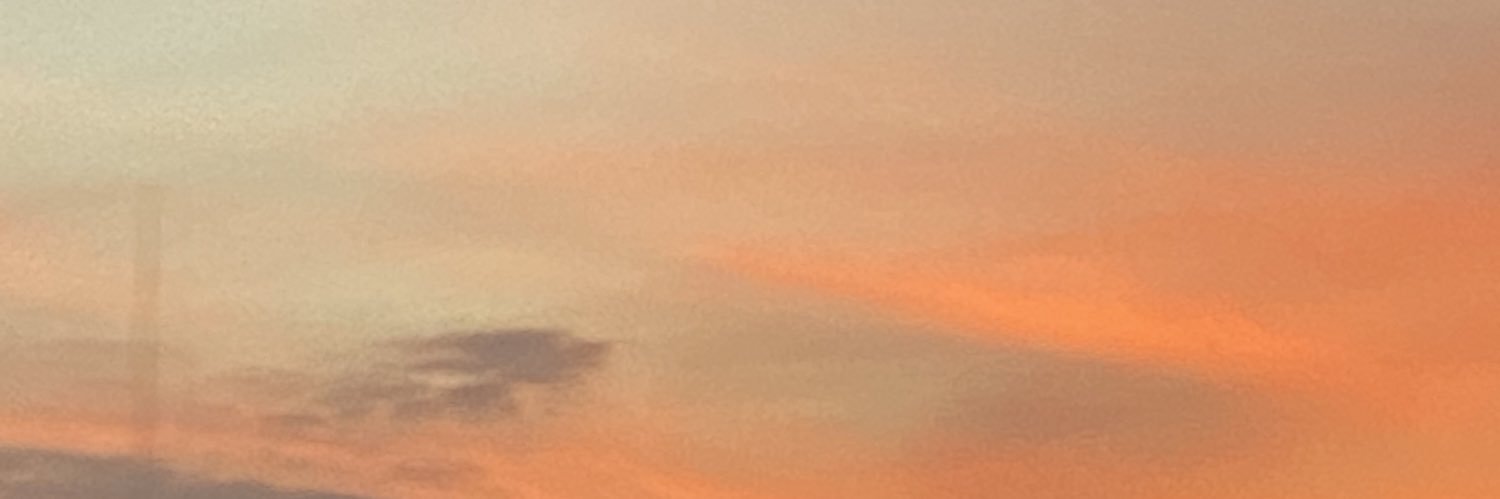 bubbutea's profile banner image