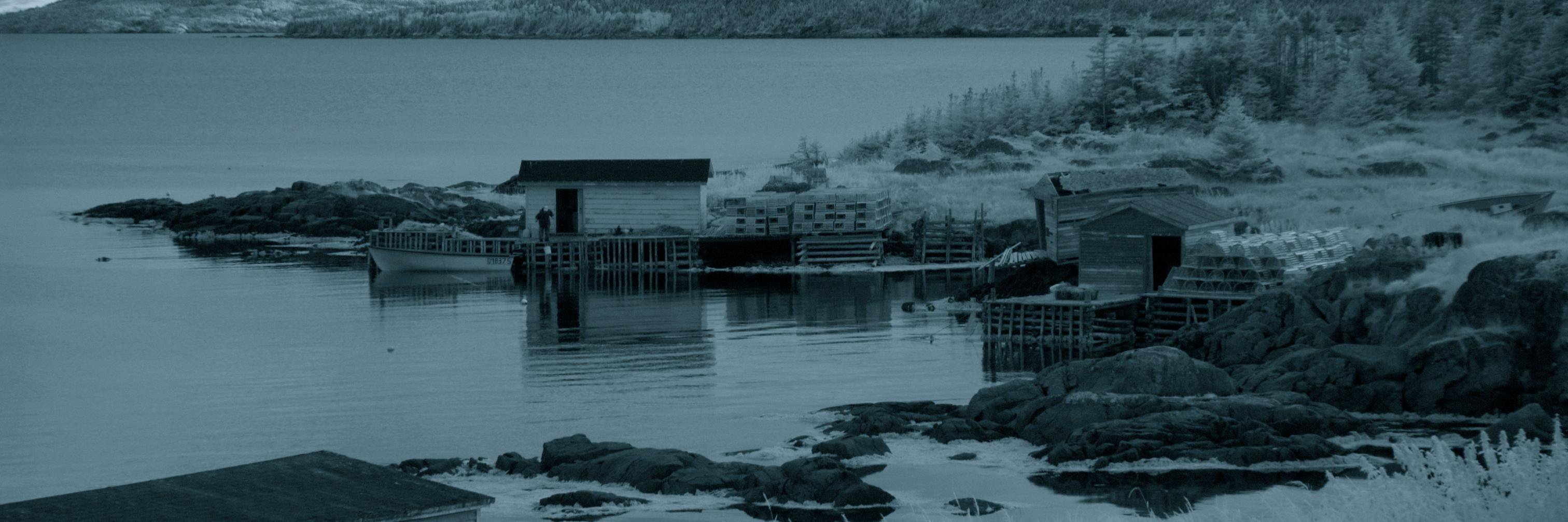 iamjenwalsh's profile banner image