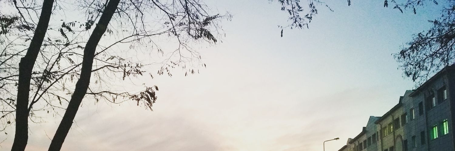 Mitskevichh's profile banner image