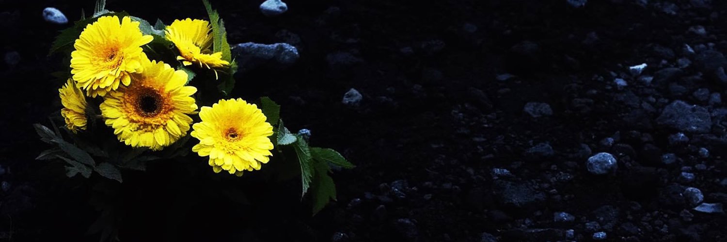 mikilouise4's profile banner image