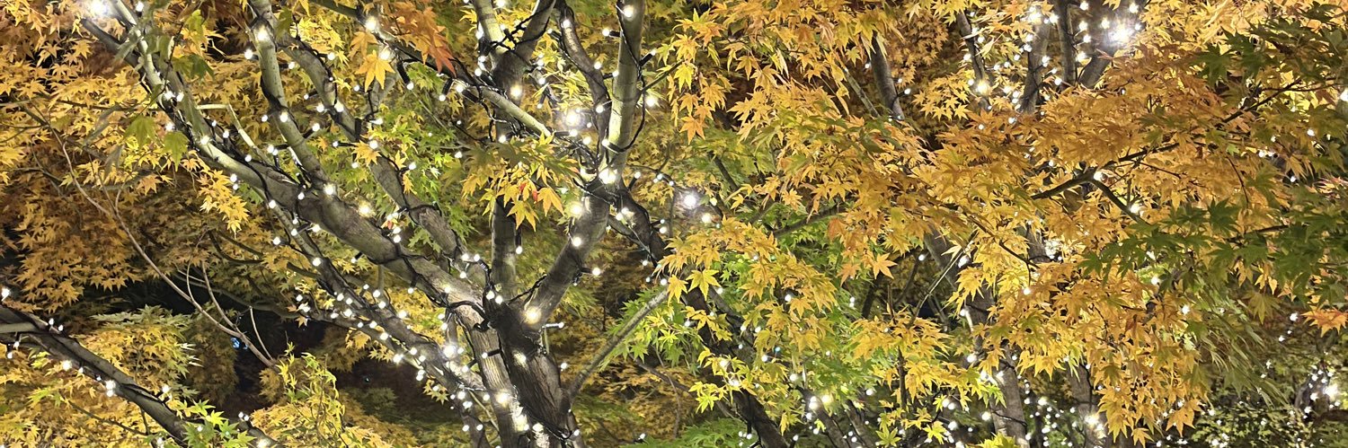 msmonp's profile banner image