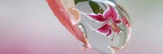 demirk_zehra's profile banner image