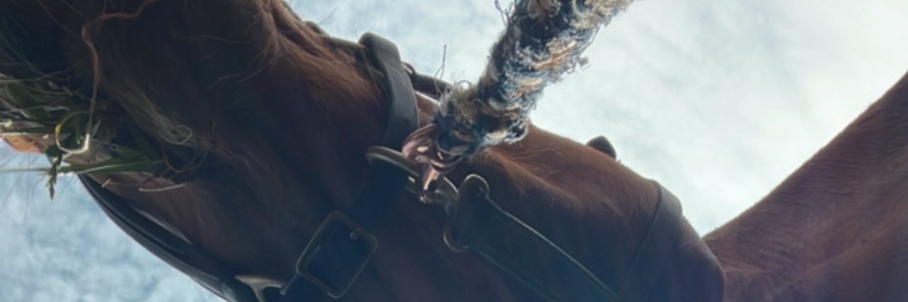 Clara2745's profile banner image