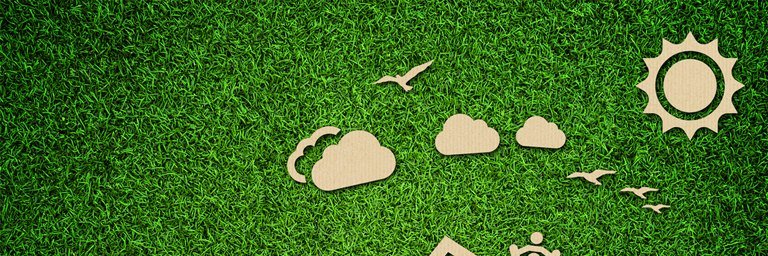 Eco Warrior banner