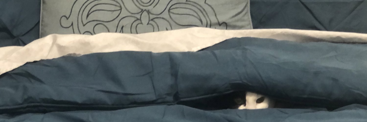 Steph Campanha Wheaton✨ banner