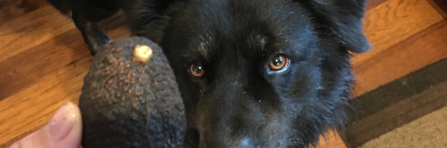 TheeTeddy's profile banner image