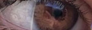 hs___2277's profile banner image
