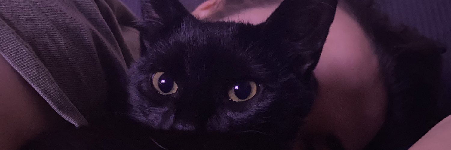 alex__clovis's profile banner image