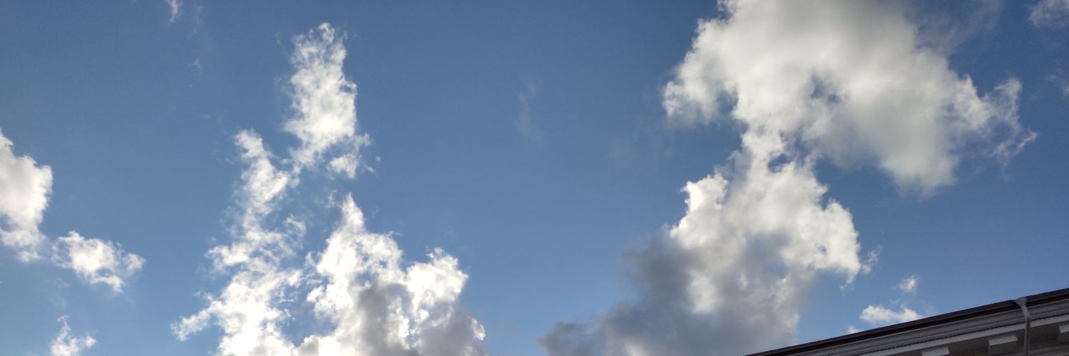 ThatNikkiJ's profile banner image