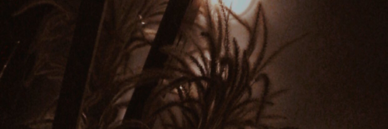 diahasri39's profile banner image