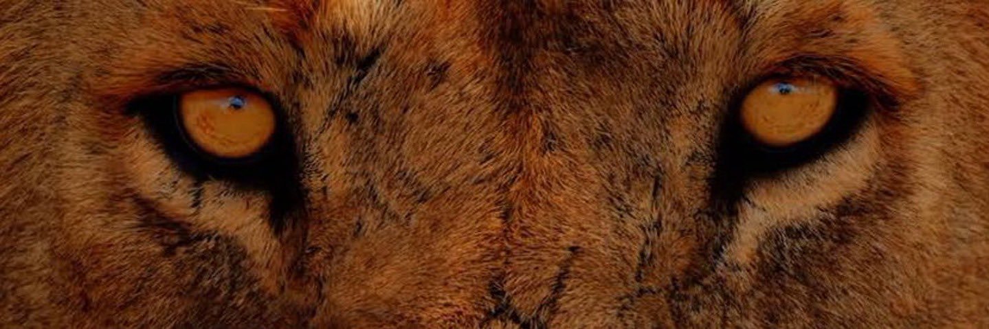 _vaunn_'s profile banner image