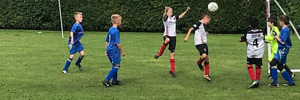 Michael Baines banner