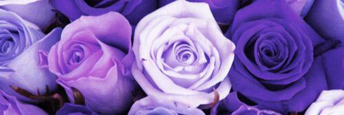 avonstiara's profile banner image