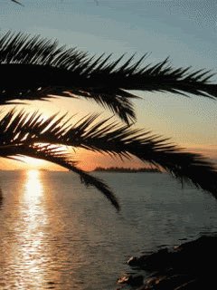saharme1's profile banner image