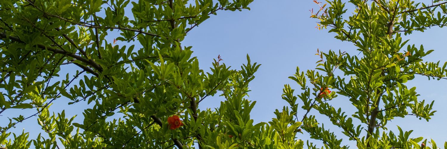 ynmgrkm's profile banner image