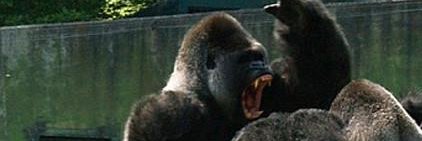 jerrodsoldier's profile banner image