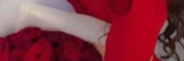 mimiozr's profile banner image