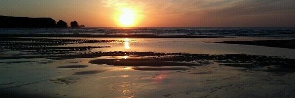 plegarrao Profile Banner