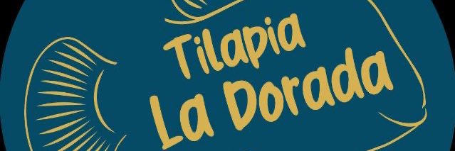 AlejoMartinez17's profile banner image