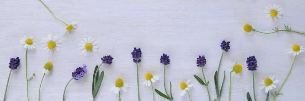 bysao0113's profile banner image