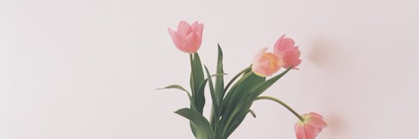 asacossw Profile Banner