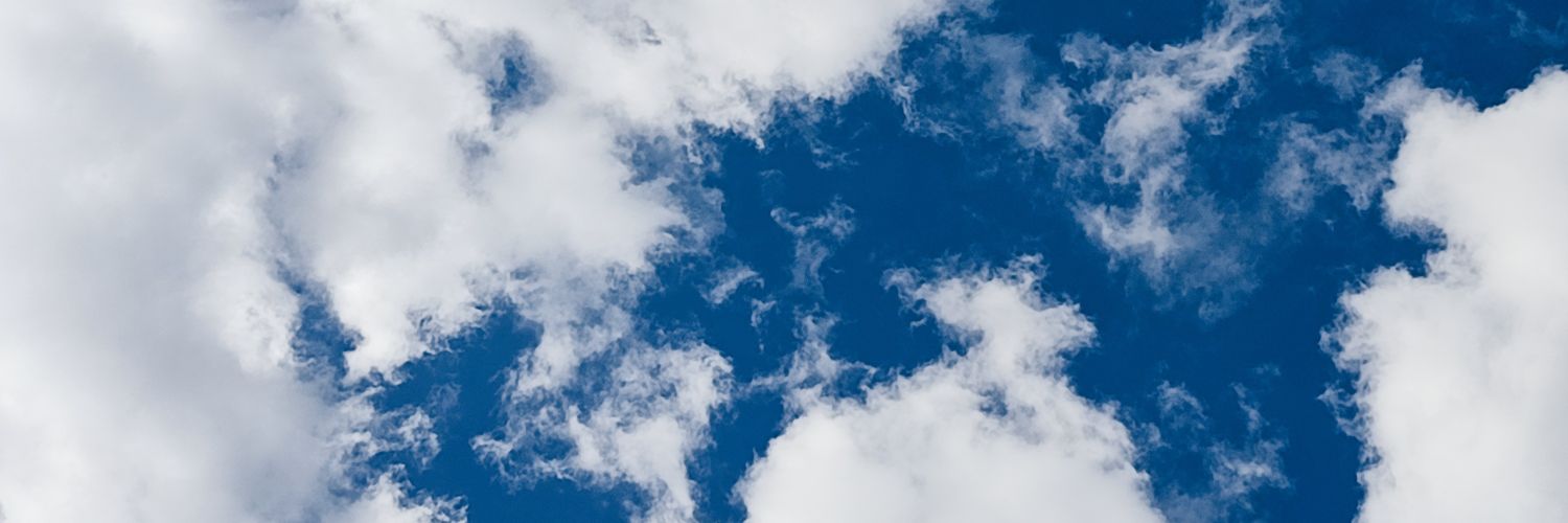 LDagfel's profile banner image
